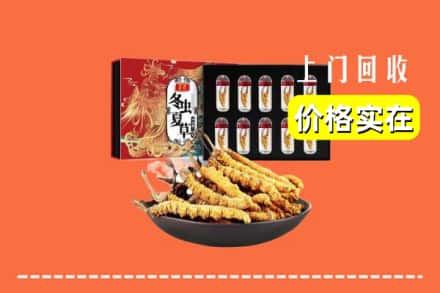 奈曼旗回收冬虫夏草